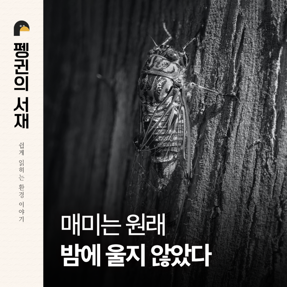 (그래픽 손아영)/뉴스펭귄