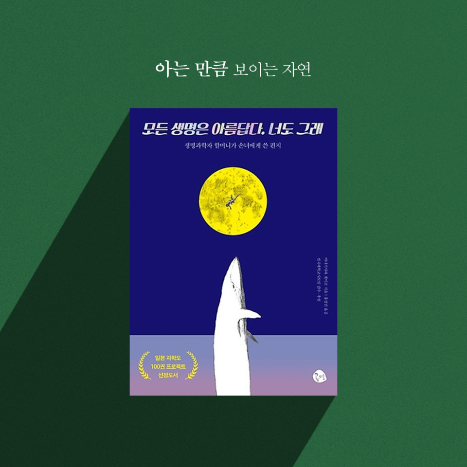 (그래픽 손아영)/뉴스펭귄