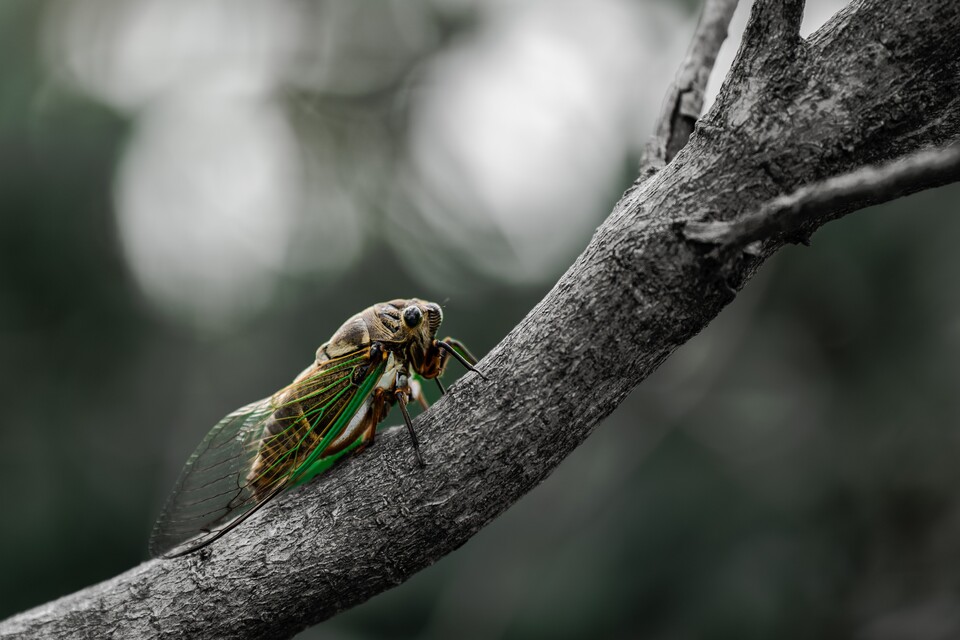 (사진 unsplash)/뉴스펭귄