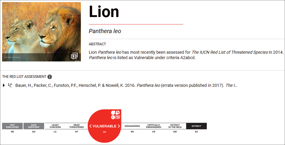 Lion's IUCN Red List Classification. (Photo IUCN)/News Penguin