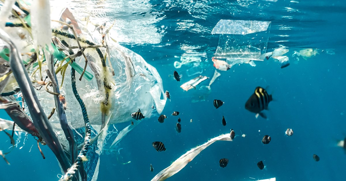 플라스틱 폐기물이 떠다니는 해양. (사진 unsplash)/뉴스펭귄