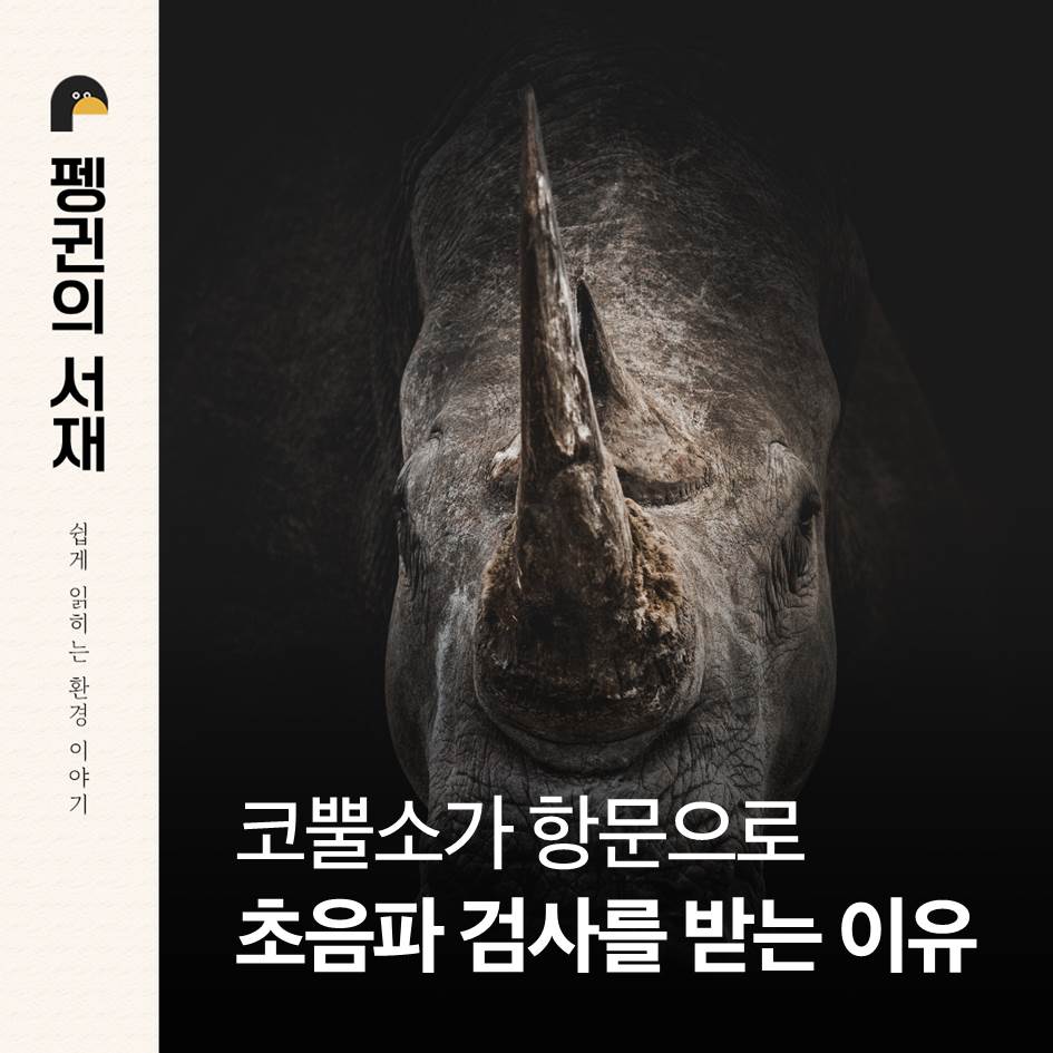 (그래픽 손아영)/뉴스펭귄