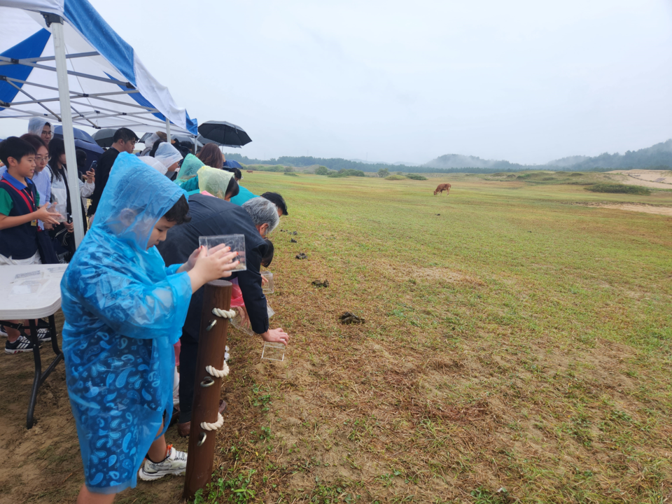 The Scarabs release event held in Taean-gun, Chungcheongnam-do. (Photo provided by National Institute of Ecology)/News Penguin