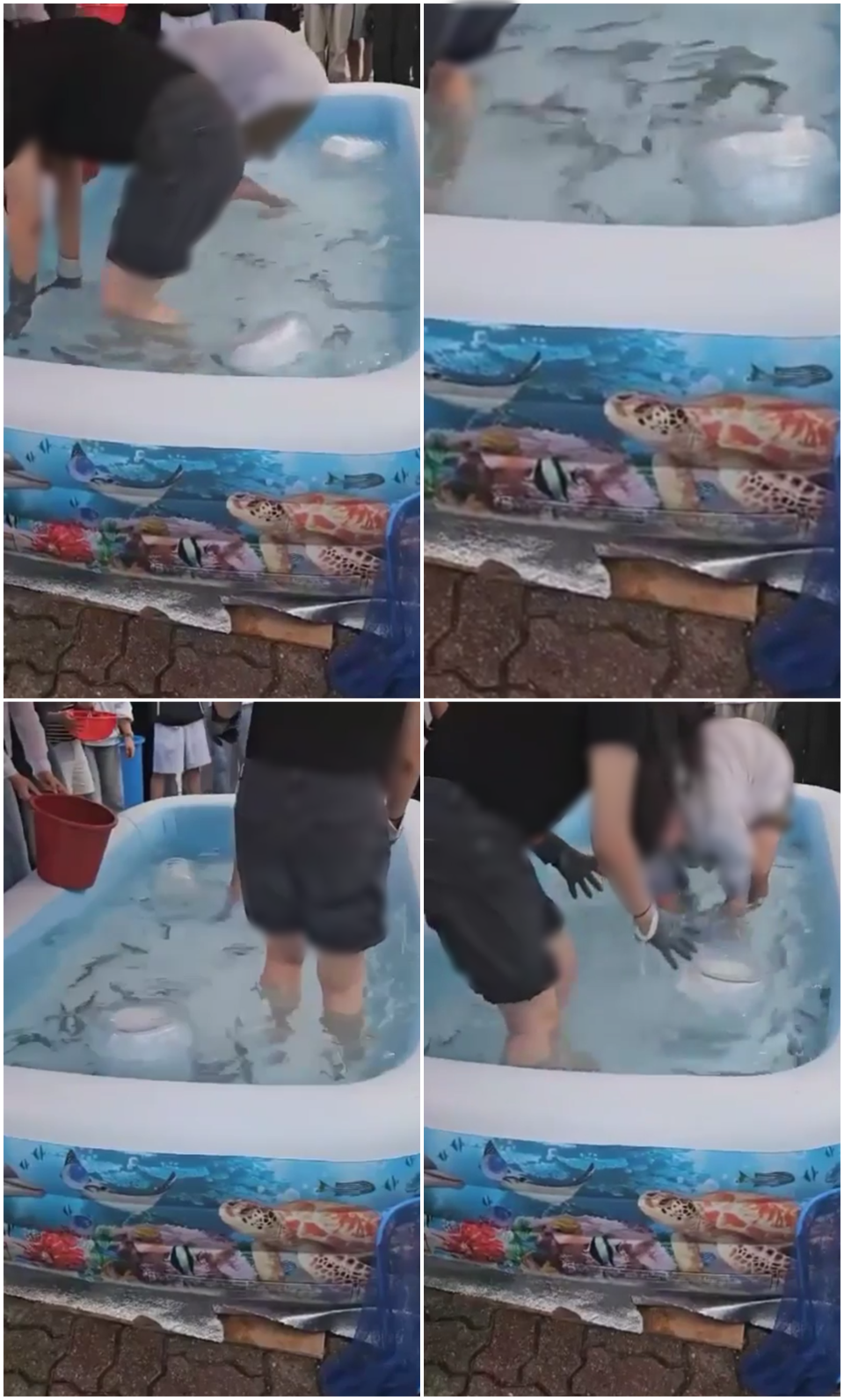 축제부스 앞 설치된 풀장에서 학생들이 송어를 잡고 있다. 제보자 A 씨에게 제공받은 영상을 일부 캡처했다. (사진 A 씨 제공)/뉴스펭귄