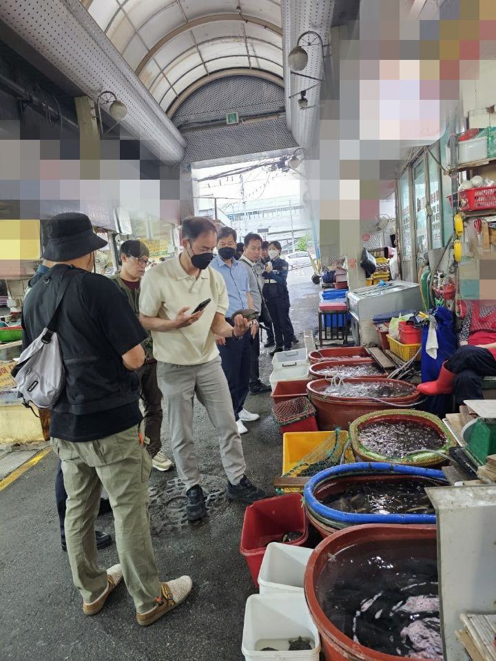 (사진 남상헌 한국남생이보호협회장 제공)/뉴스펭귄