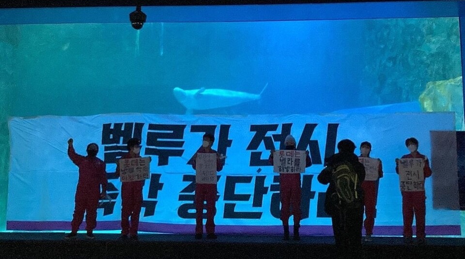 지난해 12월 16일 핫핑크돌핀스는 롯데월드 아쿠아리움 내에서 벨루가 방류 약속 이행을 촉구하는 행동을 진행했다. (사진 핫핑크돌핀스 공식 인스타그램)/뉴스펭귄