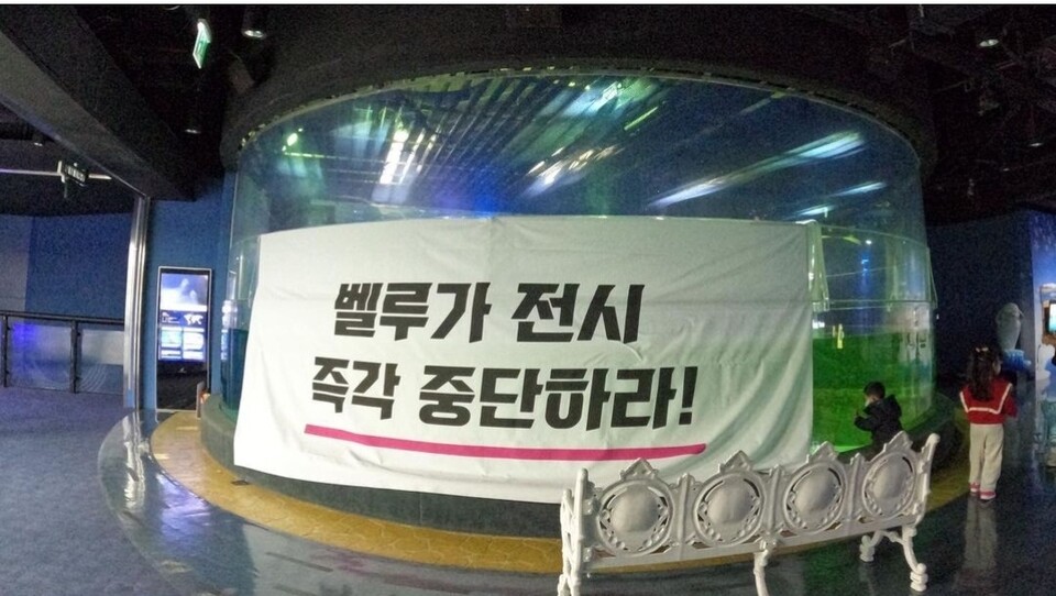 지난해 12월 16일 핫핑크돌핀스는 롯데월드 아쿠아리움 내에서 벨루가 방류 약속 이행을 촉구하는 행동을 진행했다. (사진 핫핑크돌핀스 공식 인스타그램)/뉴스펭귄