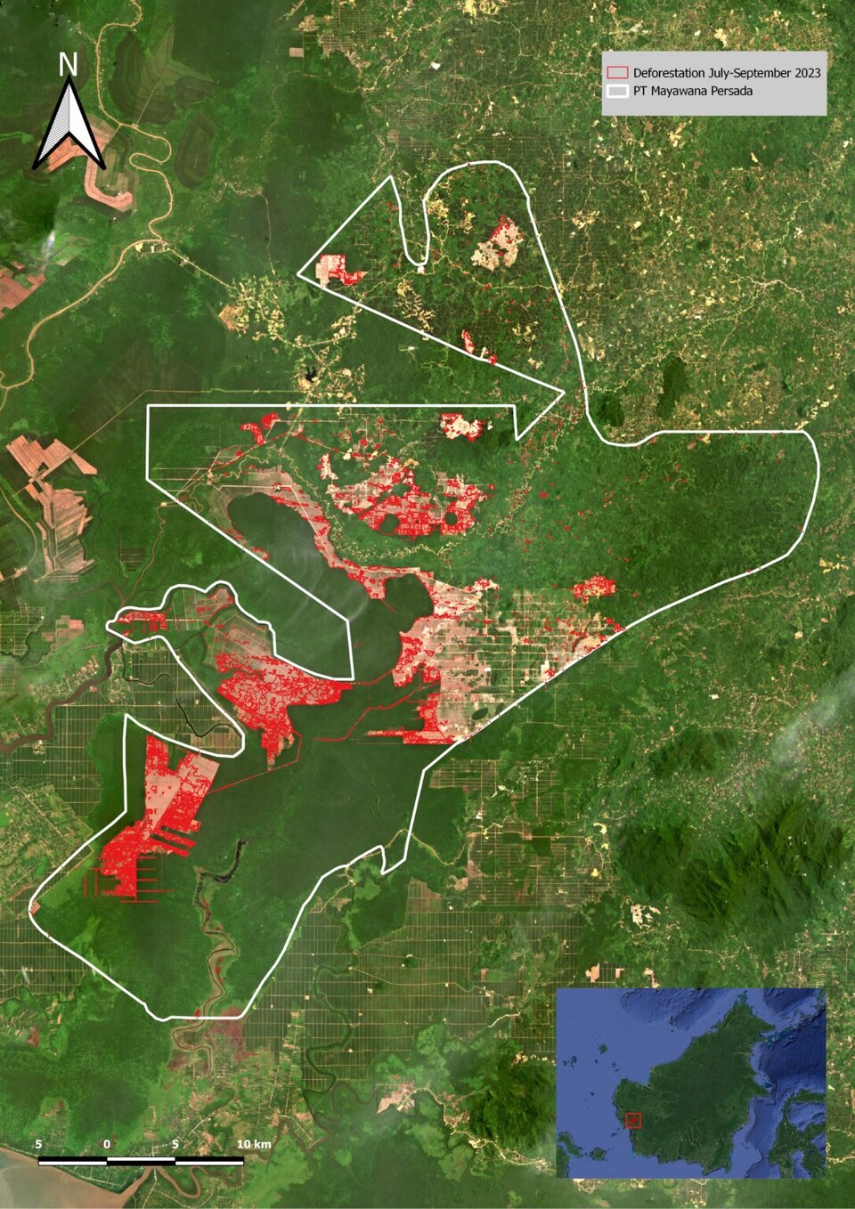 인도네시아 목재회사가 개간한 숲 면적. 붉은 영역은 올해 7~8월 벌채한 숲, 하얀 영역은 목재회사가 소유한 전체 숲 면적. (사진 Aidenvironment)/뉴스펭귄