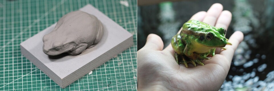 정의동 작가가 만든 양서류. 왼쪽은 수원청개구리 원형이며, 오른쪽은 금개구리 모형이다. (사진 정의동 작가 제공)/뉴스펭귄