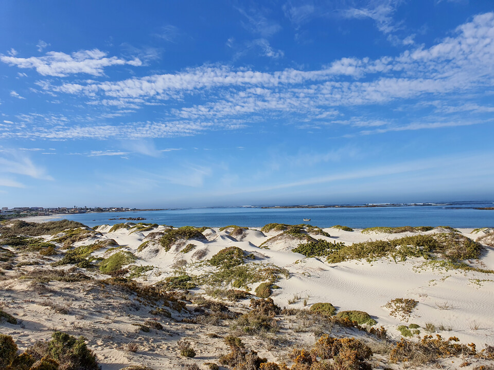 디윈턴황금두더지가 재발견된 남아프리카 모래해변. (사진 제공 Re:wild, JP Le Roux)/뉴스펭귄