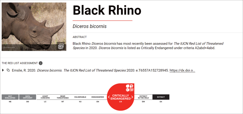 검은코뿔소 세계자연보전연맹 적색목록 등급. (사진 IUCN)/뉴스펭귄