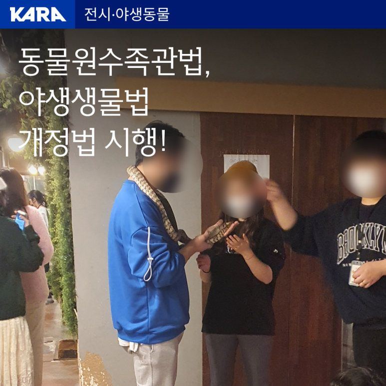 (사진 동물권행동 카라)/뉴스펭귄