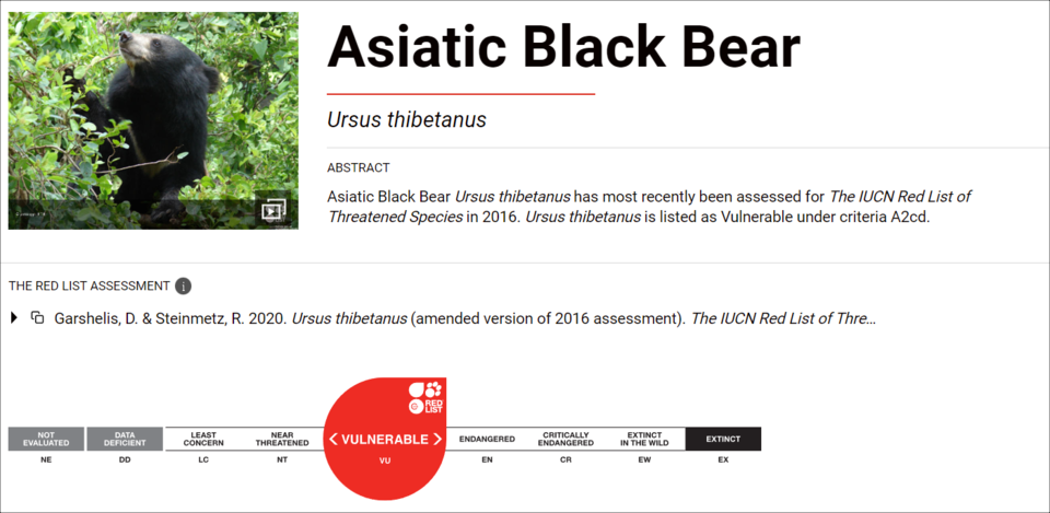 반달가슴곰 세계자연보전연맹 적색목록 등급. (사진 IUCN)/뉴스펭귄