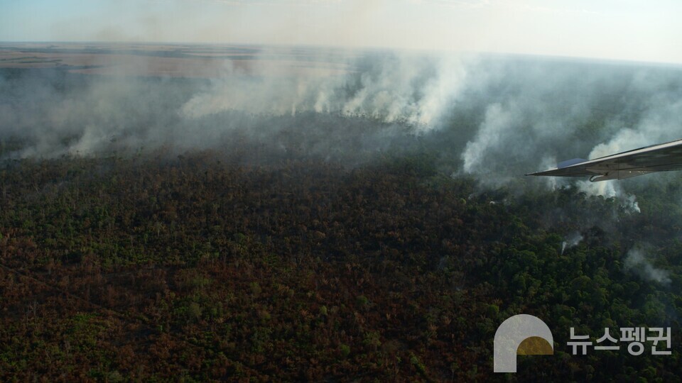 불타는 브라질 우림. (사진 최평순PD 제공)/뉴스펭귄