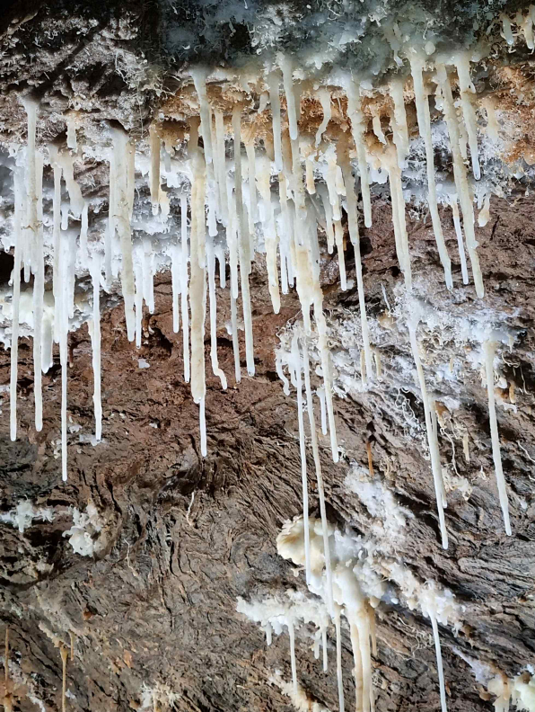 영월 분덕재동굴 내부. (사진 문화재청)/뉴스펭귄