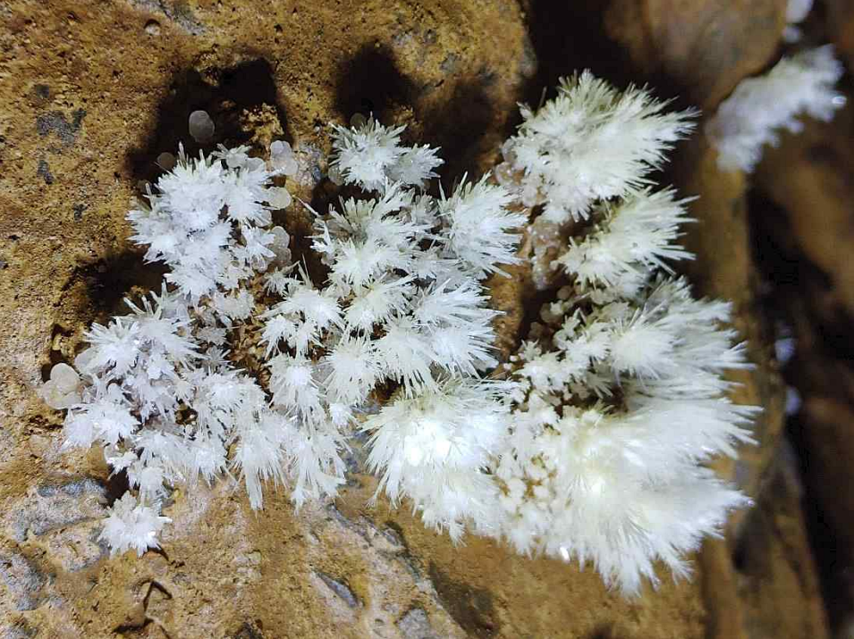 영월 분덕재동굴에 형성된 석화. (사진 문화재청)/뉴스펭귄