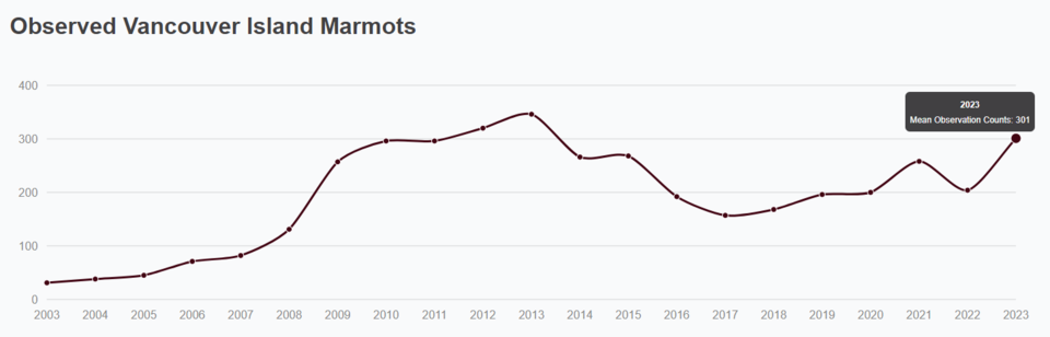 지난 20년간 밴쿠버섬마멋 개체수 추이. (사진 Marmot Recovery Foundation)/뉴스펭귄