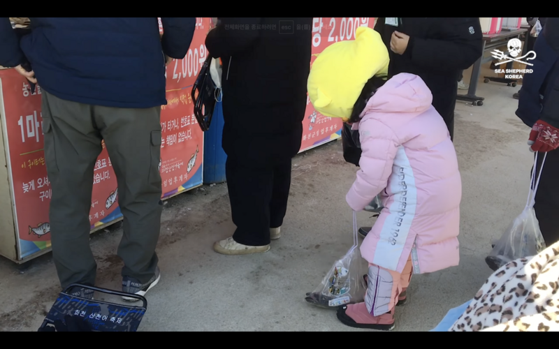 (사진 시셰퍼드코리아)/뉴스펭귄