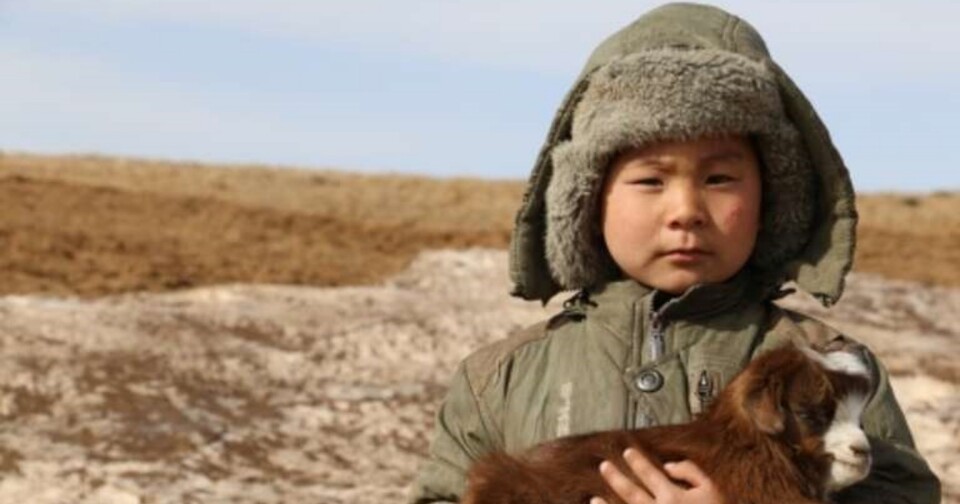 한 아이가 극심한 추위에 살아남은 염소 한 마리를 꼭 안고 있다. (사진 세이브더칠드런)/뉴스펭귄