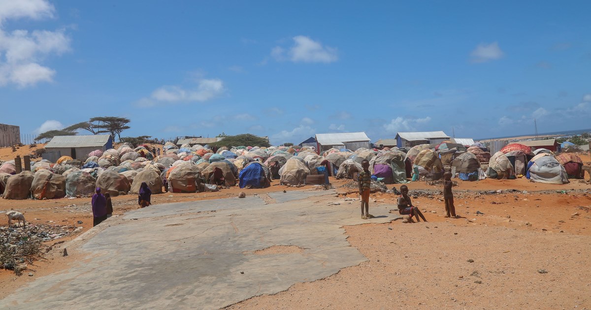 2017년에 발생한 가뭄으로 난민 캠프에 모여있는 소말리아 주민들. (사진 flickr AMISOM Public Information)/뉴스펭귄