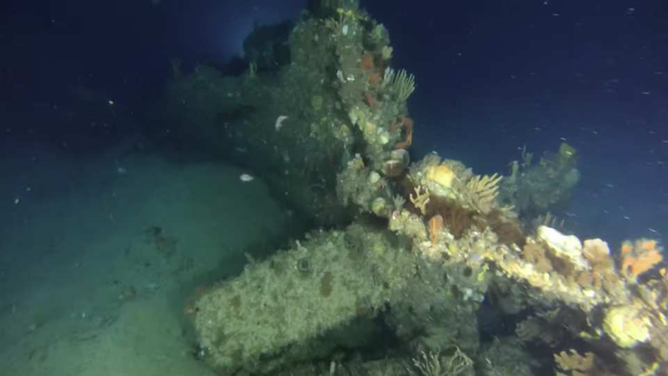 1883년 가라앉은 선박. (사진 Tasmanian Underwater Explorer 유튜브 영상 캡처)/뉴스펭귄