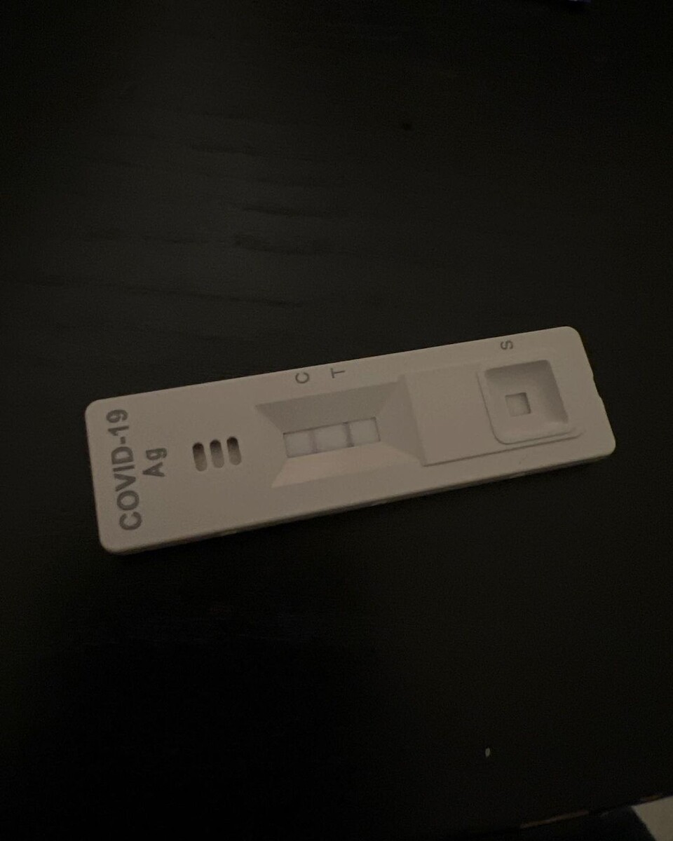  (사진 줄리안 퀸타르트 인스타그램)/뉴스펭귄