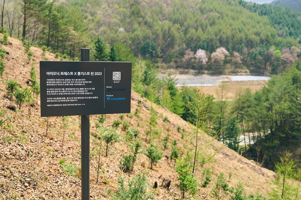 현대자동차는 롱기스트 런 캠페인을 통해 2016년부터 친환경 사회공헌 프로그램인 ‘아이오닉 포레스트’에 식재용 나무를 기부하고 있다. (현대자동차)/뉴스펭귄