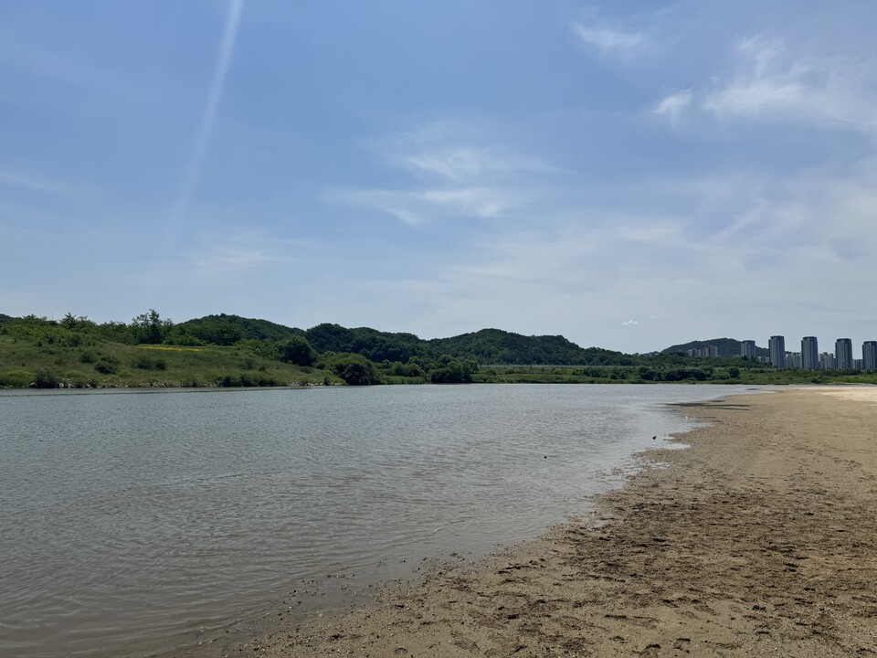 합강 일대는 서울에서 늘 보던 인간의 손이 많이 닿은 인위적인 느낌의 강과 달리 모래도, 자갈도 자연 그대로 잘 보존돼 있었다. (사진 이동재 기자)/뉴스펭귄