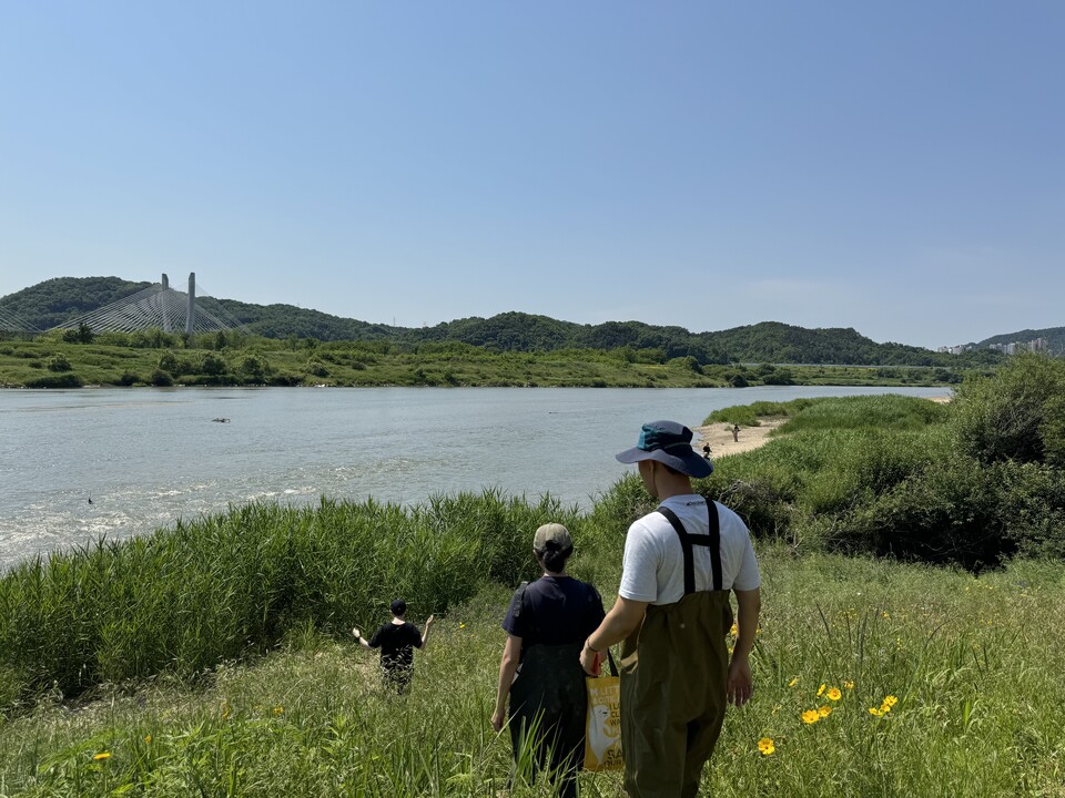 금강과 제1지류인 미호강이 만나는 합강 부근에서 모니터링을 진행했다. (사진 이동재 기자)/뉴스펭귄