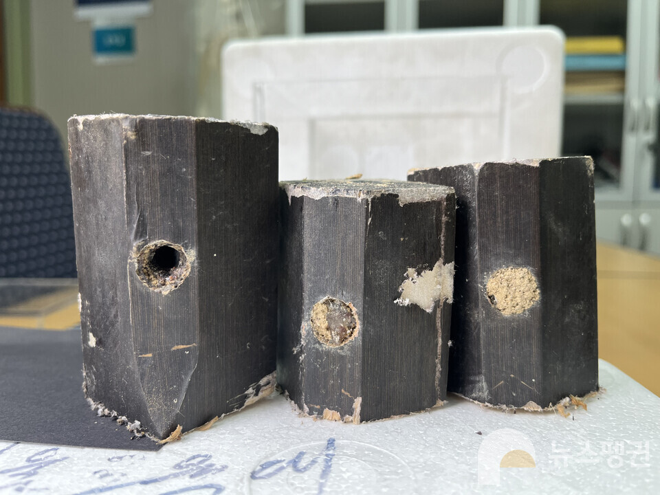 지난해 8월 서울교대 테니스장 의자 다리에 새로 생긴 산란방들. 가장 왼쪽 의자에서는 올해 6월 왕가위벌 3마리와 밑들이벌 1마리가 출현했고, 나머지 두 의자는 아직 송진으로 막혀 있다. (사진 이수연 기자)/뉴스펭귄