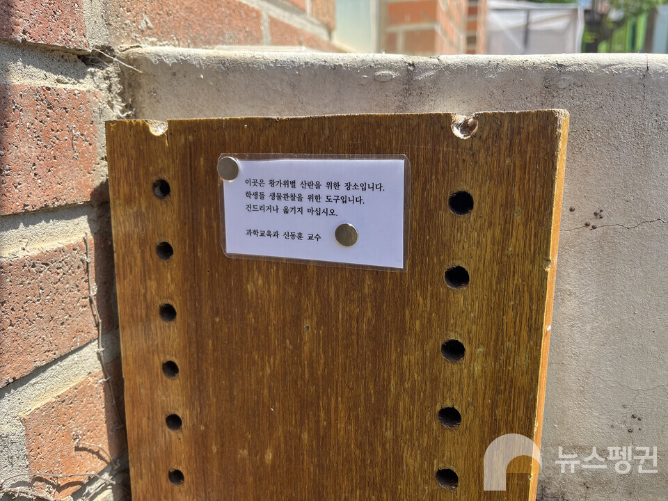 (사진 이수연 기자)/뉴스펭귄