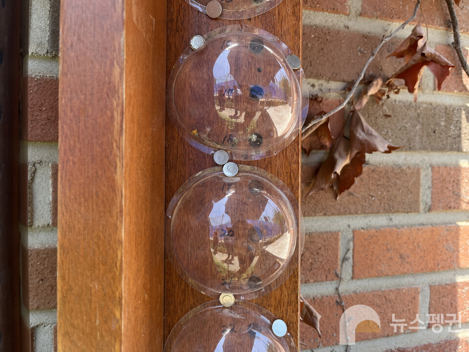 (사진 이수연 기자)/뉴스펭귄