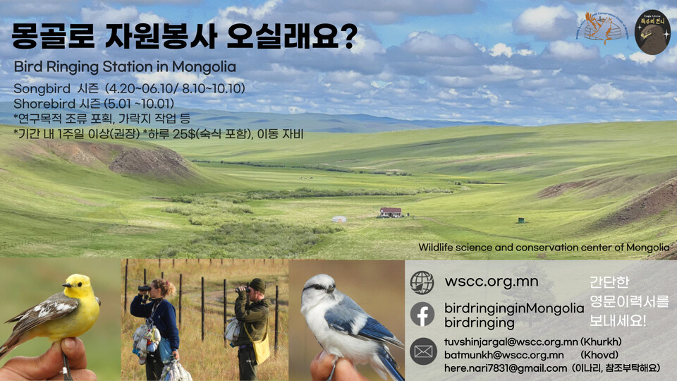 몽골 조류가락지센터는 매년 자원봉사자를 모집하고 있다. (사진 이나리씨 제공)/뉴스펭귄