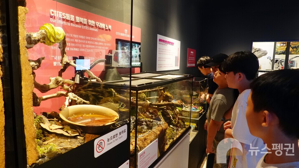CITES 동물을 관찰하는 학생들. (사진 국립중앙과학관 홍양기 연구사 제공)/뉴스펭귄