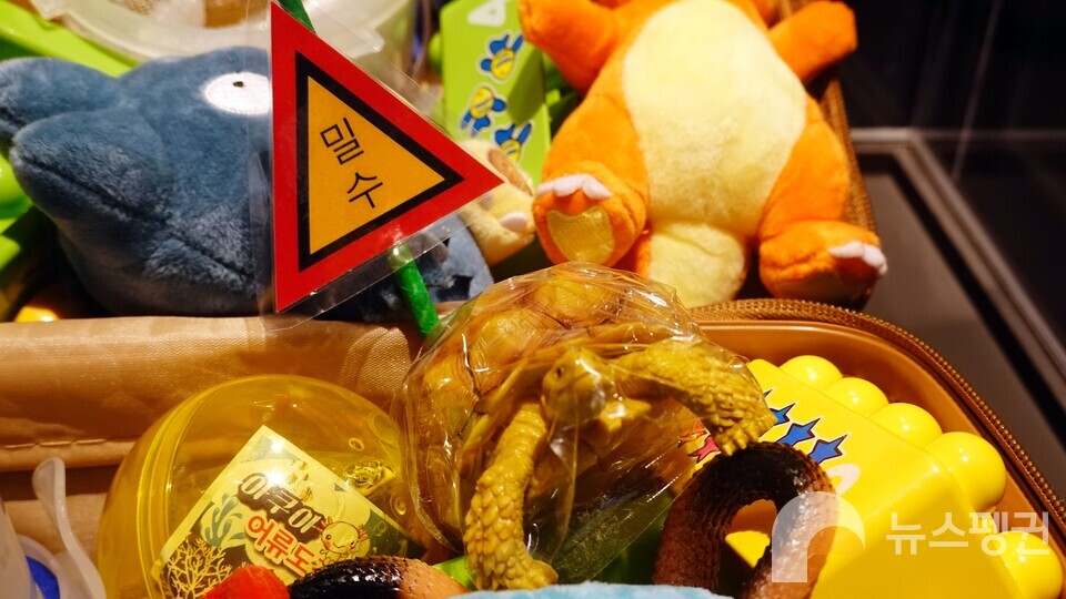 거북이가 인형들 사이에 있다. 왜일까? (사진 국립중앙과학관 홍양기 연구사 제공)/뉴스펭귄