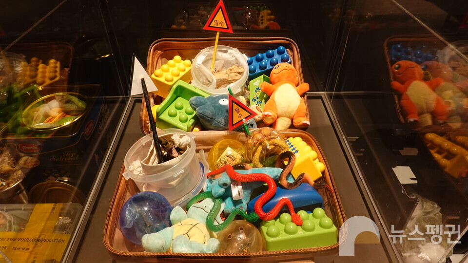 밀수 적발을 피하기 위해 인형 사이에 있는 인도별육지거북 재연품. (사진 국립중앙과학관 홍양기 연구사 제공)/뉴스펭귄