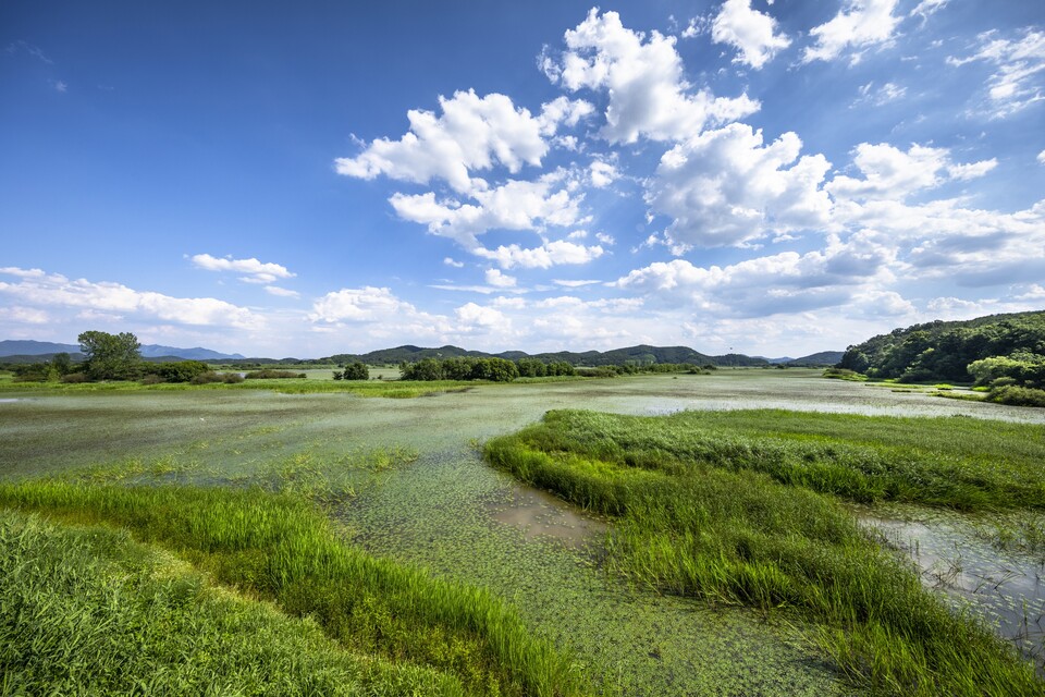 글로벌 과학자들은 기후위기와 생물다양성 손실 문제를 통합적으로 바라보는 접근 방식이 시급하다고 목소리를 높인다. (사진 클립아트코리아)/뉴스펭귄