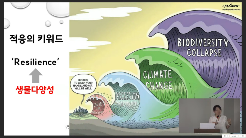 기후위기 적응의 키워드로 '회복탄력성'이 주목되는 가운데, '생물다양성'이 이에 도움을 준다는 목소리다. (사진 환경운동연합 유튜브 캡처)/뉴스펭귄