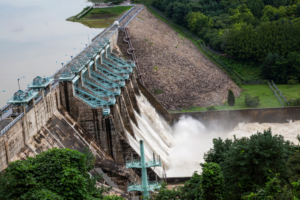 이현정 소장은 “생태계는 기후위기 대응에 도움이 된다”면서 “이를 파괴하는 신규 댐 건설은 기후위기 대응책이 될 수 없다”고 비판했다. (사진 클립아트코리아)/뉴스펭귄