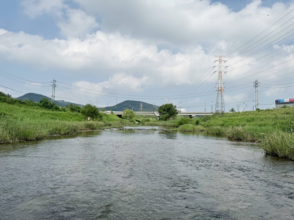 경기도 북부에 흐르는 하천에는 수많은 동식물이 자리잡고 살아가고 있다. 사진은 문산천. (사진 이동재 기자)/뉴스펭귄