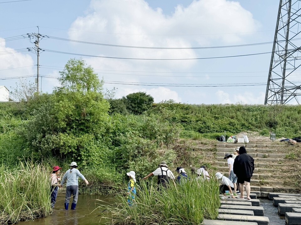 비영리 시민단체 공릉천친구들이 문산천에서 어류 모니터링 프로그램을 진행했다. (사진 이동재 기자)/뉴스펭귄