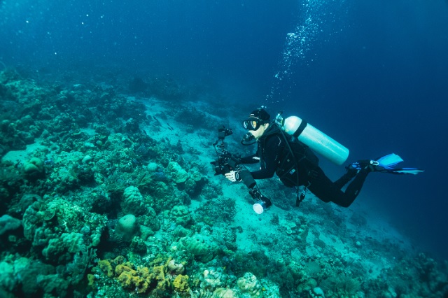 장재연 이사장은 환경 분야에서의 활동 범위가 매우 넓다. 지난 15년 이상 수백번 이상 바다에 직접 들어가 해양생물을 촬영한 경험도 있다. 과거 자신의 작품으로 사진전도 열었다. 당시 그는 “지구에 태어난 것이 행복하다. 하나의 생물이 이렇게 아름다울 수 있다니, 그런 생물이 모여 사는 지구는 얼마나 아름다운 행성인지 깨닫는다”고 말했다. 사진은 바다에서 촬영 중인 장 이사장 (사진 에코포토 아카이브)/뉴스펭귄