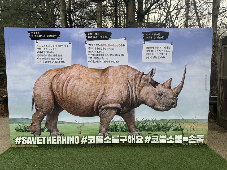 코뿔소가 멸종 위기에 처해 있으며 뿔을 약재로 사용하려는 움직임은 잘못된 것이라고 지적하는 에버랜드 안내문. (사진 이한 기자, 본사DB)/뉴스펭귄