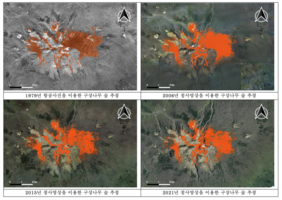 한라산 구상나무 숲은 1900년대에 연평균 0.24~0.50%의 완만한 감소세를 보였지만 2000년대로 들어서면서 감소율이 급증했다. (사진 제주특별자치도 세계유산본부 한라산연구부 제공)/뉴스펭귄