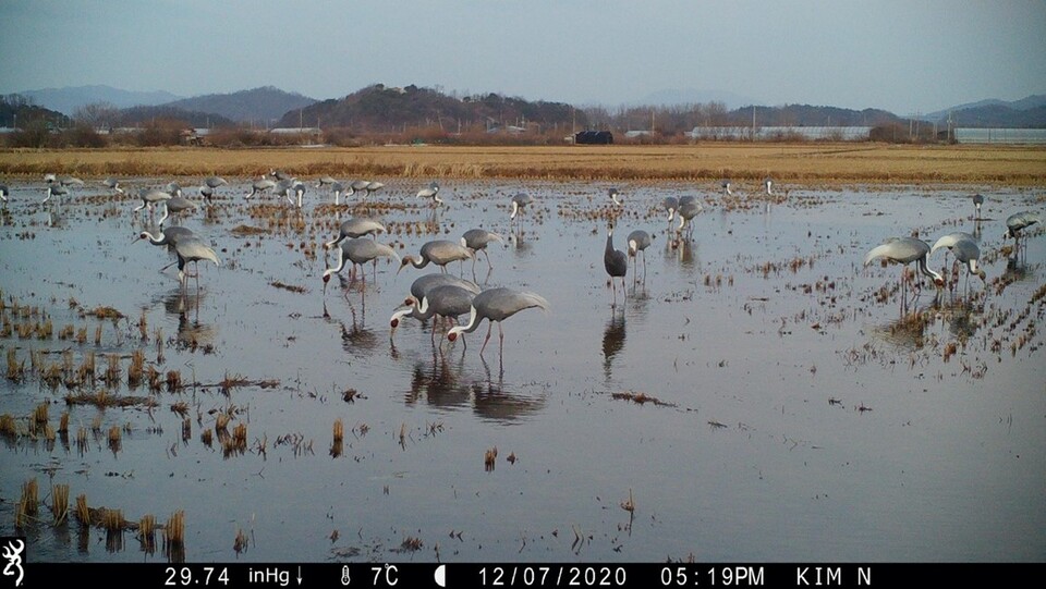 (사진 최명애 연세대 문화인류학과 교수)/뉴스펭귄