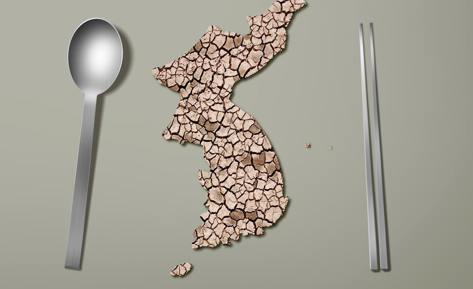 역대급 폭염과 가뭄 등 기상이변 현상으로 국민 과일로 불리던 사과는 ‘금사과’가 되고 최근에는 ‘금배추’까지 등장했다. (사진 클립아트코리아)/뉴스펭귄