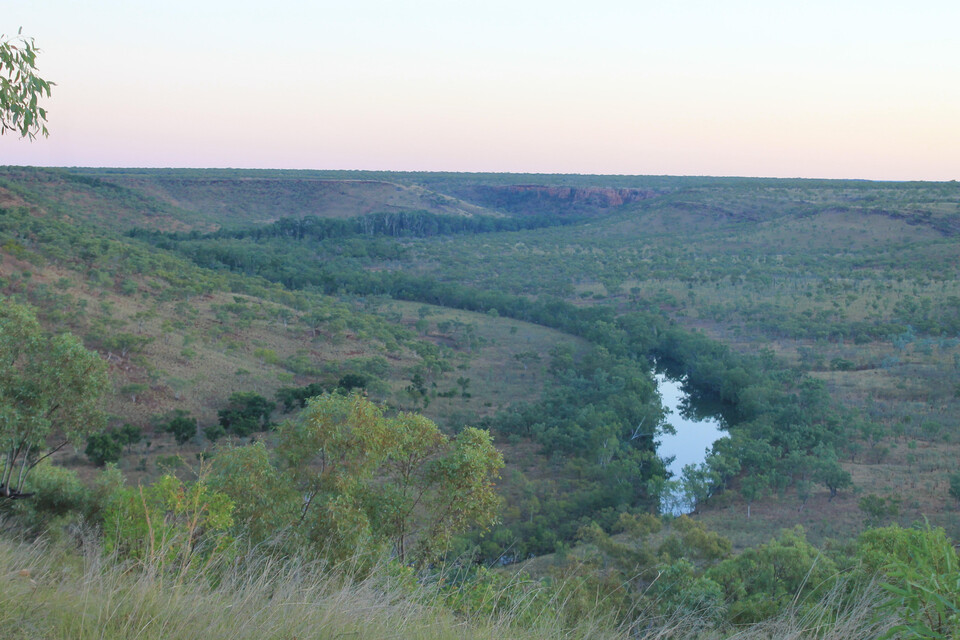 호주 구단지 전경. (사진 Rikki Dank 제공)/뉴스펭귄