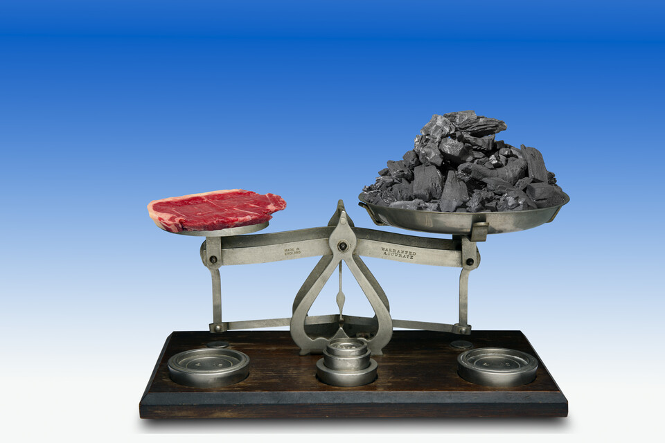 (사진 클립아트코리아)/뉴스펭귄