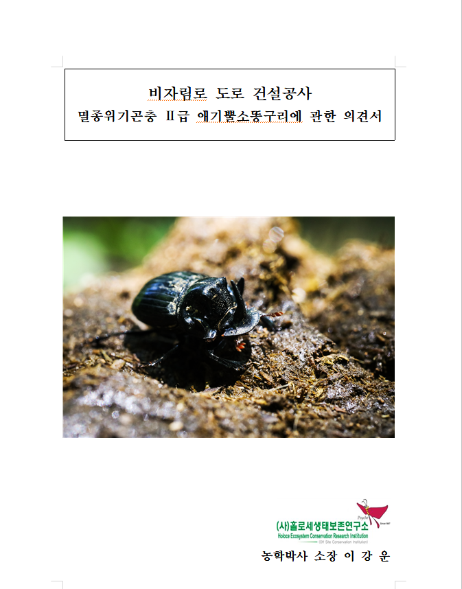 비자림로 도로 건설공사 멸종위기곤충 Ⅱ급 애기뿔소똥구리에 관한 의견서 (사진 이강운 대기자)/뉴스펭귄