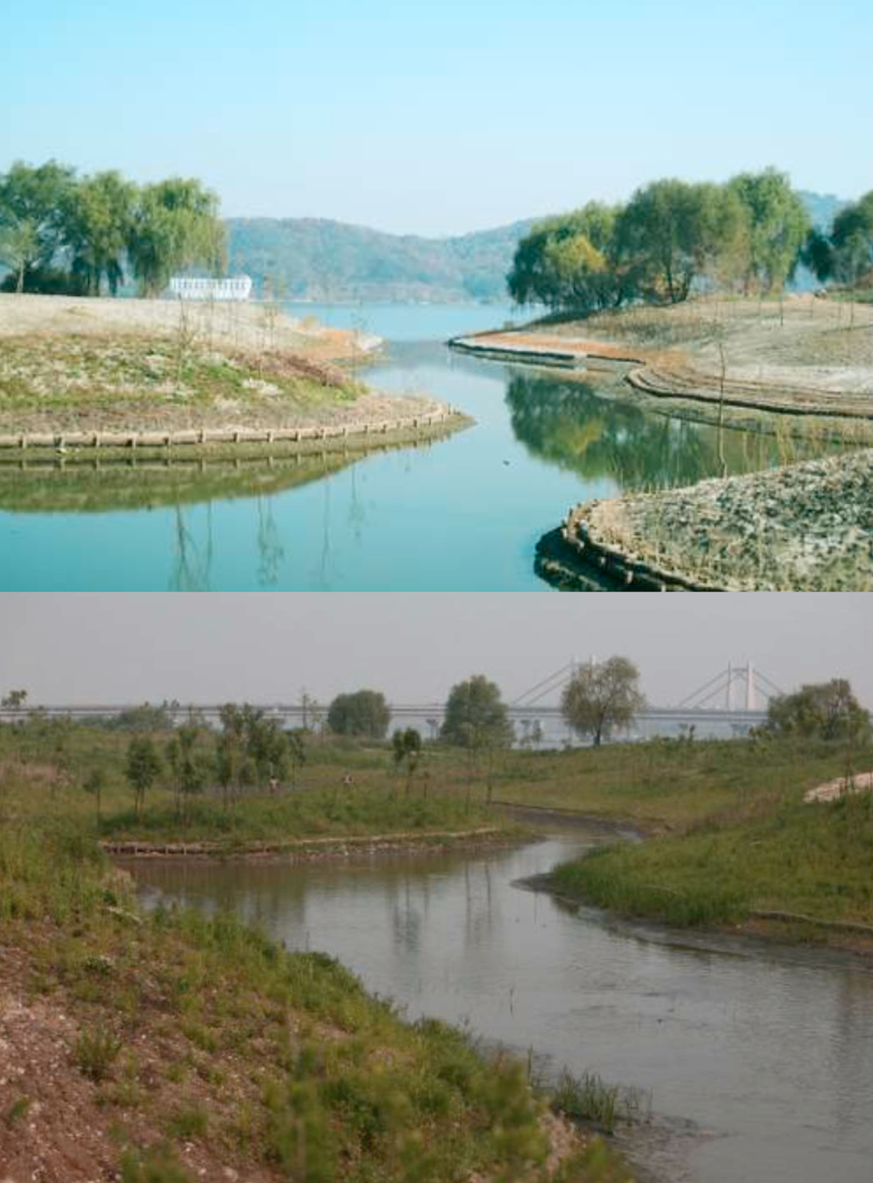 위에서부터 2002년 개원 직후 버드나무만 있던 강서습지와 2010년 재정비 후 달라진 모습. (사진 성민규 생명다양성재단 연구원)/뉴스펭귄